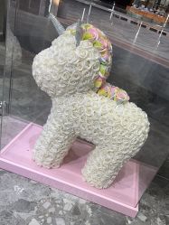 -时尚玩家发型设计