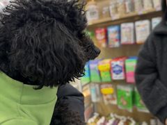 -艾贝尔宠物医院 ·中兽医·宠保定点(北门桥店)
