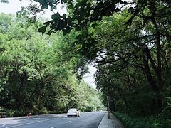 -杭州西湖风景名胜区-满觉陇四眼井