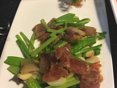 -云中小雅