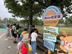 -苏州太湖西山岛开心农场