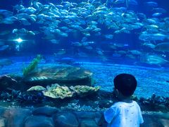 -华夏文旅海洋公园