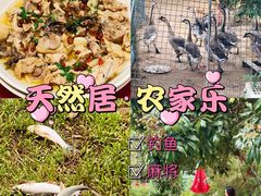 -东莞市大岭山森林公园