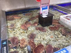 -盒马鲜生(昆城店)