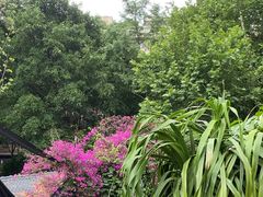 -院8里·少城记忆老川菜(宽窄巷子店)