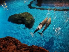 -珠海长隆海洋王国