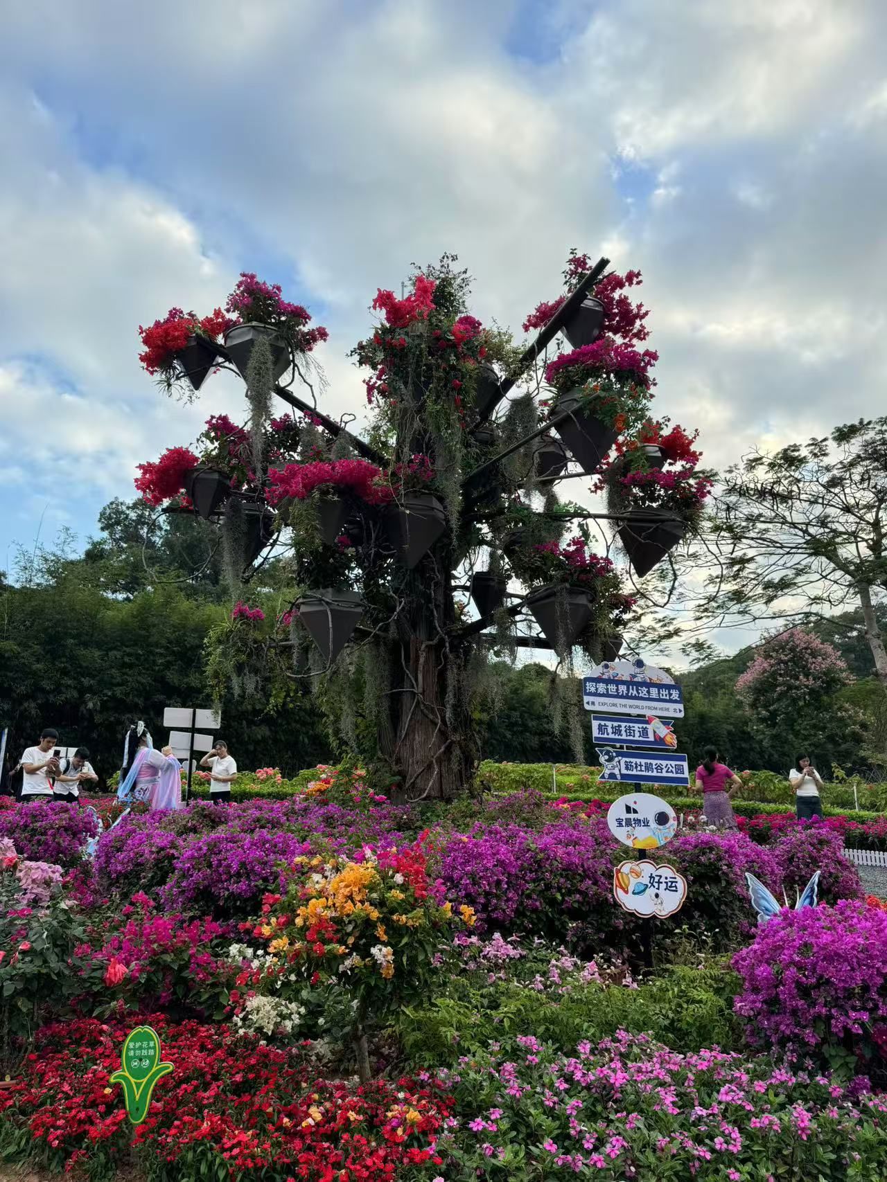 深圳勒杜鹃赏花周