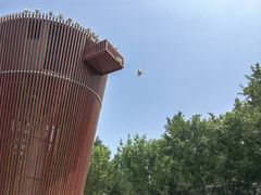 -南宫五洲植物乐园