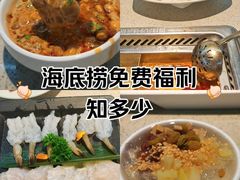 -海底捞大排档火锅(悦荟广场店)