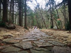 -冶父山国家森林公园