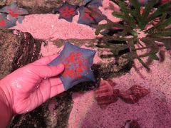 -沈阳海洋探索中心