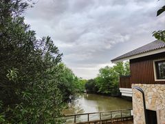 -上海吴淞炮台湾国家湿地公园