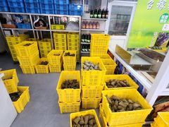 -召稼楼永茂昌粽子大王