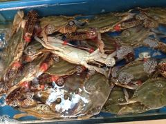 -小铜锣湾海鲜家常菜馆(河西店)