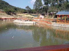 -泉州海丝野生动物世界