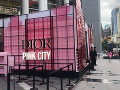 -Dior迪奥(上海世茂广场店)