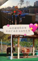 -萌宠亲子动物乐园(槐房万达店)