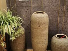 -东哥紫阳蒸盆子(旺座·现代城店)