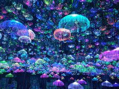 -天津梵高星空艺术馆(天河城旗舰店)