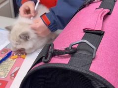 -伟伟宠物医院·CT影像中心·瑞派犬猫综合性门诊(汉口总院)