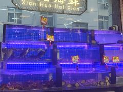 -亿牌牌东北烧烤(博物馆旗舰店)