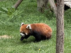 -水上乐园·欢乐世界