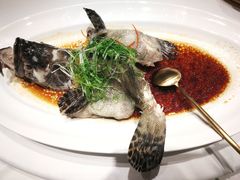 广式蒸青石斑-金色艳阳天•粤菜 淮扬菜(古平岗店)