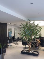 -付军剪艺JF ProSalon