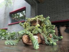 -成都许燎源现代设计艺术博物馆