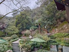 -十八棵（老龙井）御茶园(老龙井店)