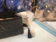-杭州滨江宝龙城