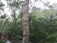-北京上方山国家森林公园