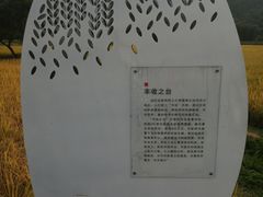 -艾米稻香小镇