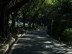 -广州雕塑公园