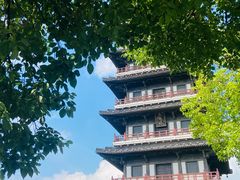-宜兴龙背山森林公园