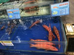 -东江海鲜酒家(艺都分店)