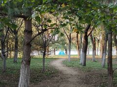 -长白岛森林公园