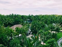 -三亚湾海居铂尔曼度假酒店