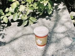 鲜萃红茶-Tims天好咖啡·贝果(融汇佳盛大厦店)
