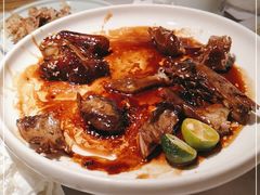 -大榕树下顺德菜(融创茂店)