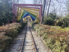 -合肥滨湖国家森林公园