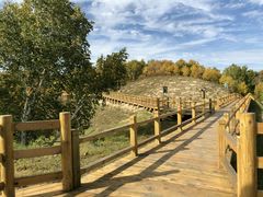 -塞罕坝国家级自然保护区