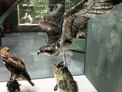 -国家自然博物馆