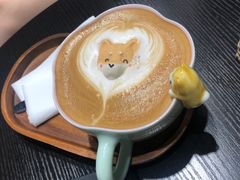 -逗柴咖啡屋·狗咖猫咖宠物桌游