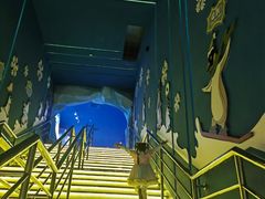 -上海海昌海洋公园