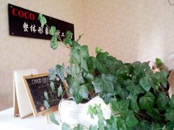 点击看大图 android_upload_pic-Coco形象设计