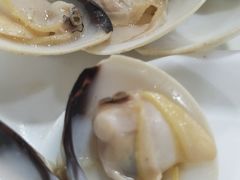 -顺德哥卜卜贝(旗舰店)