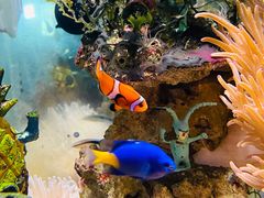 -太平洋海底世界