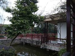 -天赐温泉