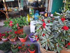 -白老大羊杂碎稍麦